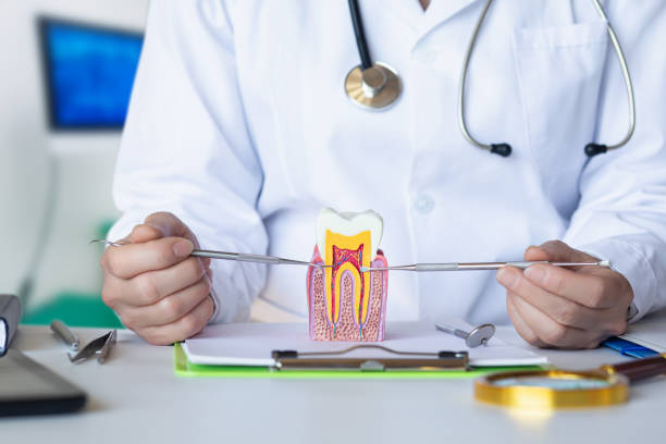 Best Emergency Dental Care for Broken or Chipped Teeth in Lofall, WA